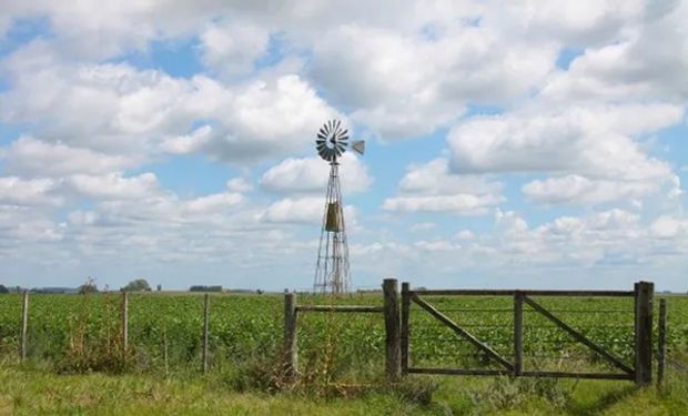 "Se percibe un buen estado de ánimo": qué pasa con la oferta de campos a la venta y en alquiler  