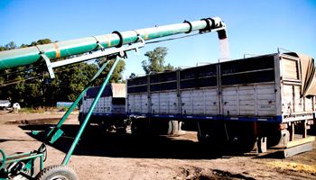 Empresas agroexportadoras acusan una “fuerte reducción” en la entrega de soja en camión