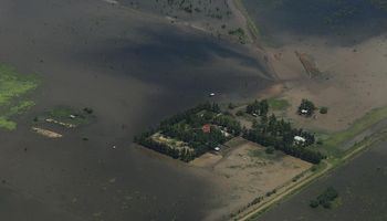 Chaco: la cosecha de soja tiene un 50% de atraso en el ciclo más húmedo de los últimos 30 años