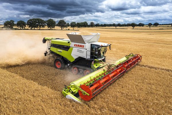 cosecha claas