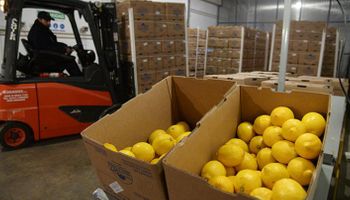 Clave para el campo: el puerto que le permitiría al NOA exportar limón, azúcar y legumbres con un 30% menos de costo