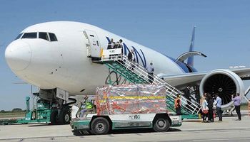 Arándanos:  hay incertidumbre en la exportación por la falta de vuelos comerciales