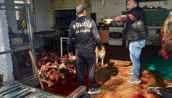 Desbaratan un frigorífico clandestino de caballos: secuestraron 500 kilos de pulpa y carne picada para hamburguesas
