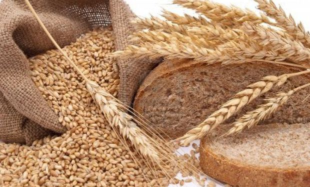 El pan aumentaría un 30% si se eliminan retenciones al trigo