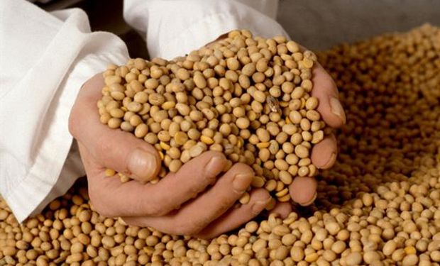 Casem se reunió con el secretario de Agricultura de la Nación