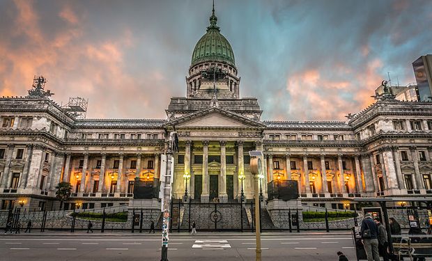 La Ley de Semillas podría obtener media sanción.