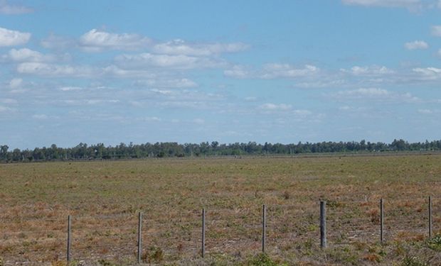 El mercado inmobiliario rural no escapa del parate vigente