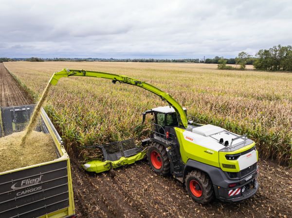 jaguar claas argentina