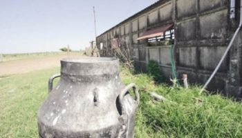La liquidación única de la leche se activaría finalmente para el 1º de junio