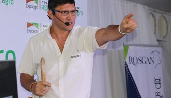 Se remataron 16.000 cabezas en Expoagro: los precios promedio de una subasta ágil
