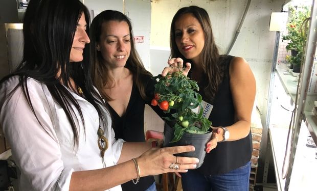 María Fabiana Drincovich, Gabriela Leticia Müller y María Valeria Lara.