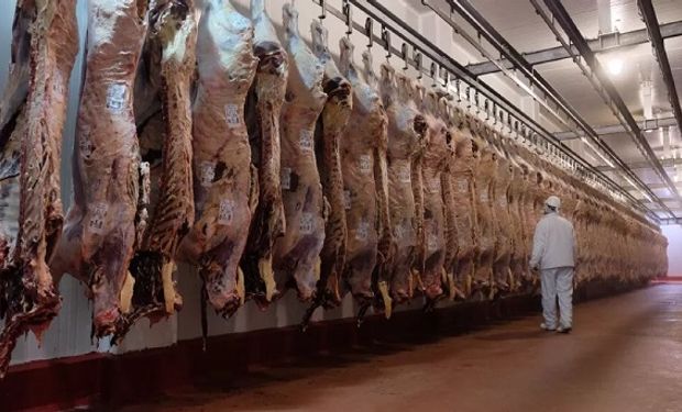La lista de los 22 frigoríficos que fueron autorizados a exportar carne bovina a México