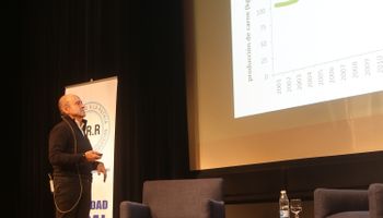 "El impacto de bajar las retenciones va a ser muy marginal", analizó un experto ganadero y destacó que hay una brecha productiva de hasta un 70 %