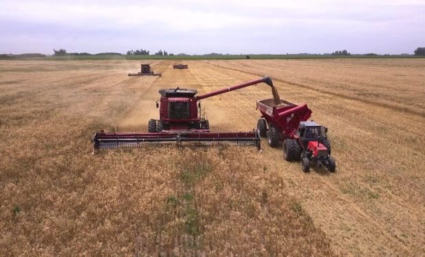 Pasión por el campo: comenzó hace 30 años como contratista, hoy trabaja 7.000 hectáreas y apuesta fuerte a la tecnología