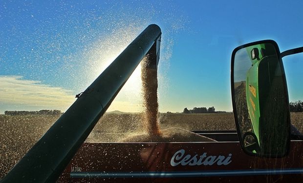 La producción mundial de cereales aumentará 8% en 2014