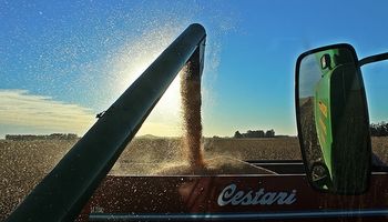 Por proteccionismo de UE caen ventas