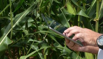 Produtor rural poderá calcular custo da produção em site