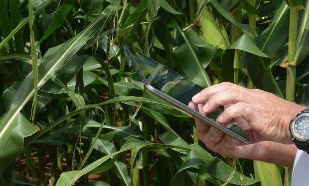 Ferramenta possibilita também realizar simulações de dispêndio entre as safras