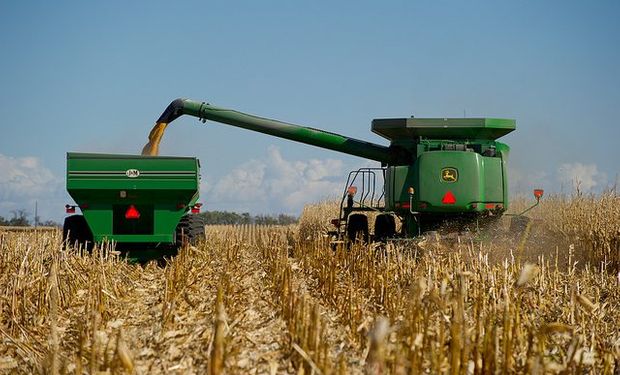 USDA: importante recorte para el maíz.