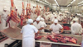 La industria frigorífica señala que el clima electoral marca la agenda y el sector queda relegado