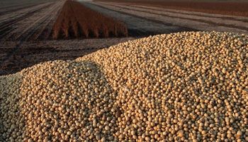 La soja sigue subiendo en la previa a un informe clave para el mercado