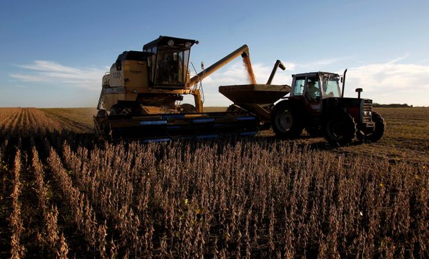 Día de la Agricultura y del Productor Agropecuario: por qué se celebra el 8 de septiembre