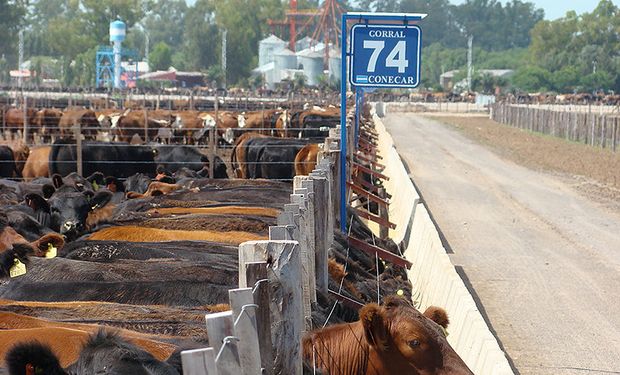 Denuncian que Santa Fe busca sumar un nuevo impuesto en la actividad ganadera