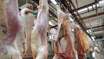 Acuerdo de precios en la carne: los planteos de Fernández y de la industria para llegar a buen puerto