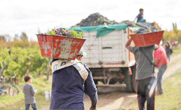 Diputados: presentan un proyecto para que la asignación por hijo sea compatible con el trabajo rural