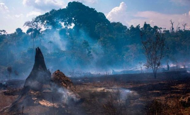 "La Selva Amazónica es una parte del noroeste de Brasil, eso no se está incendiando", destaca Eduardo Sierra.
