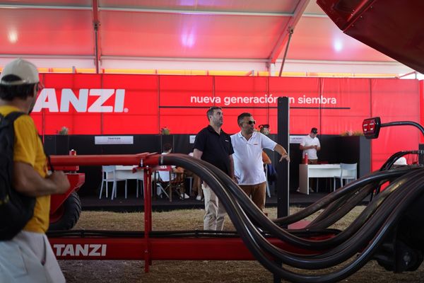siembra tanzi
