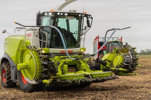 claas picadora