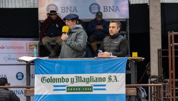 Los precios del remate de 33 reproductores de Braford y Brahman, con máximo de $32 millones por el 50% de un animal