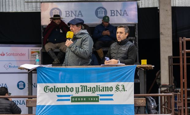 “La ganadería necesita reglas claras, ojalá se mantengan”: el balance de Juan Pedro Colombo tras los remates en las Nacionales de Corrientes
