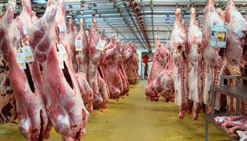 Carne vacuna: 5 factores pendientes para crecer en exportación 