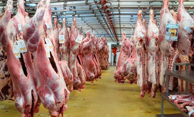 Los volúmenes comercializados siguen siendo discretos cuando observamos hacia atrás las 771 mil toneladas exportadas en el 2005.