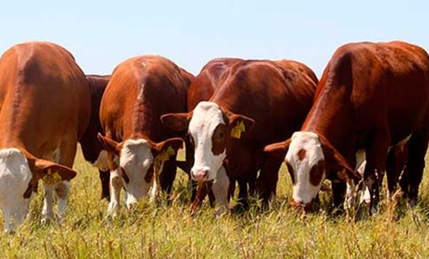 Los puntos fundamentales de esta capacitación se desarrollarán en torno a las reglas de manejo para la eficiencia del pasto