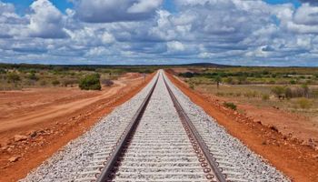 Ferrogrão deve reduzir em R$19,2 bilhões o custo do frete, estima vice da FPA