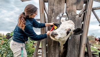 Día del Ingeniero Agrónomo y del Veterinario: ¿Cuál es el origen de esta fecha para celebrar a un eslabón clave de la producción de alimentos?