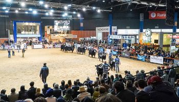 Raza líder: la fiesta ganadera que nació por “única vez” y hoy convoca a todo el sector