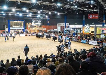 Raza líder: la fiesta ganadera que nació por “única vez” y hoy convoca a todo el sector