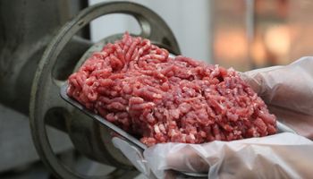 Inflação poderá negativa em junho; Consumo de proteínas caiu 9%