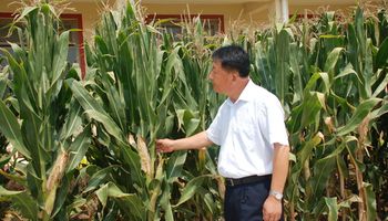 China, mercado de maíz de formidable crecimiento