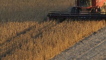Demanda aquecida sustenta negócios com soja, apesar da ampla oferta global