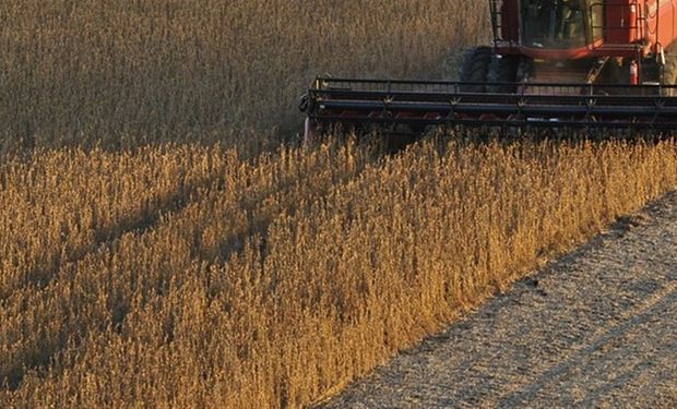 Demanda aquecida sustenta negócios com soja, apesar da ampla oferta global