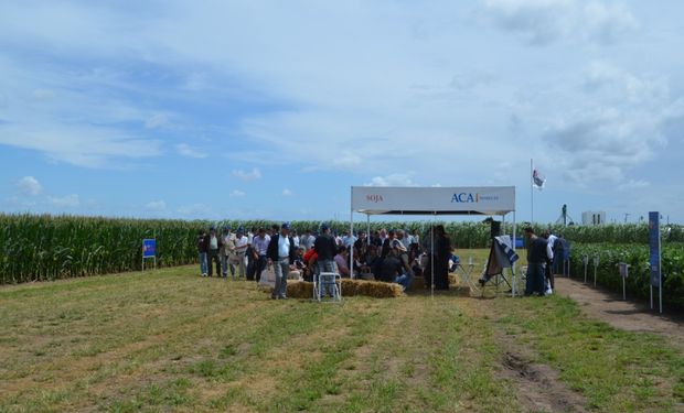 “A Campo Abierto" promueve el contacto personalizado con los mejores técnicos y especialistas de ACA en las distintas áreas que conforman cada sistema de producción. Foto: Archivo.