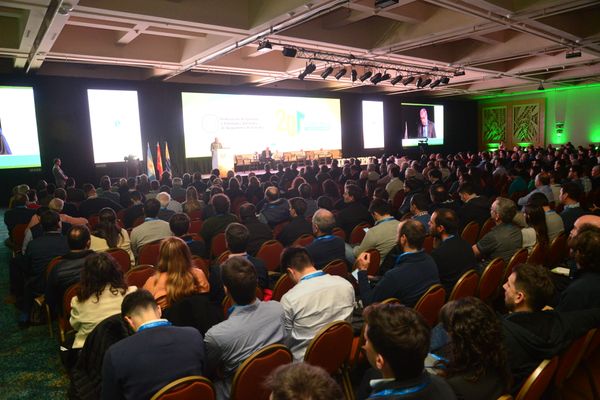 a todo trigo mar del plata