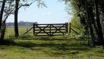 Poca oferta y alta demanda: se mantiene firme la tendencia en la compra y venta de campos