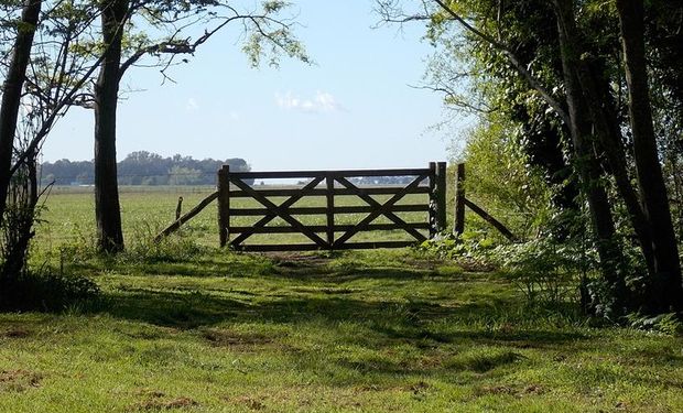 Poca oferta y alta demanda: se mantiene firme la tendencia en la compra y venta de campos