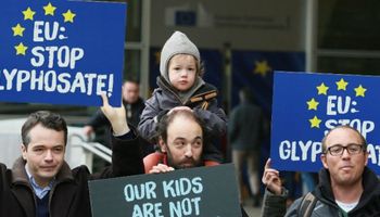 A fin de mes la UE decidirá si se autoriza el glifosato